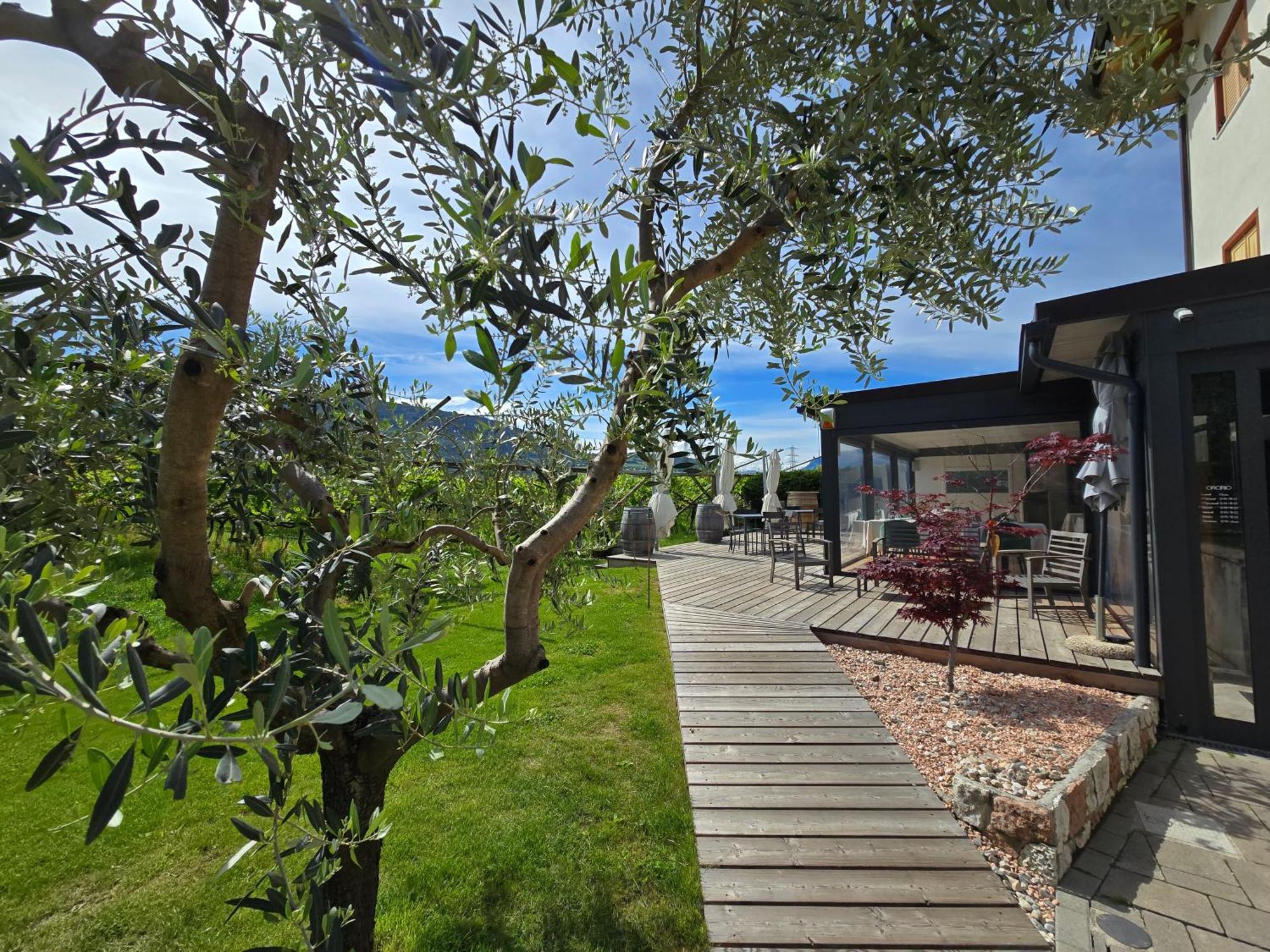 Antico Fienile Agritur Villa Mezzocorona Exteriör bild