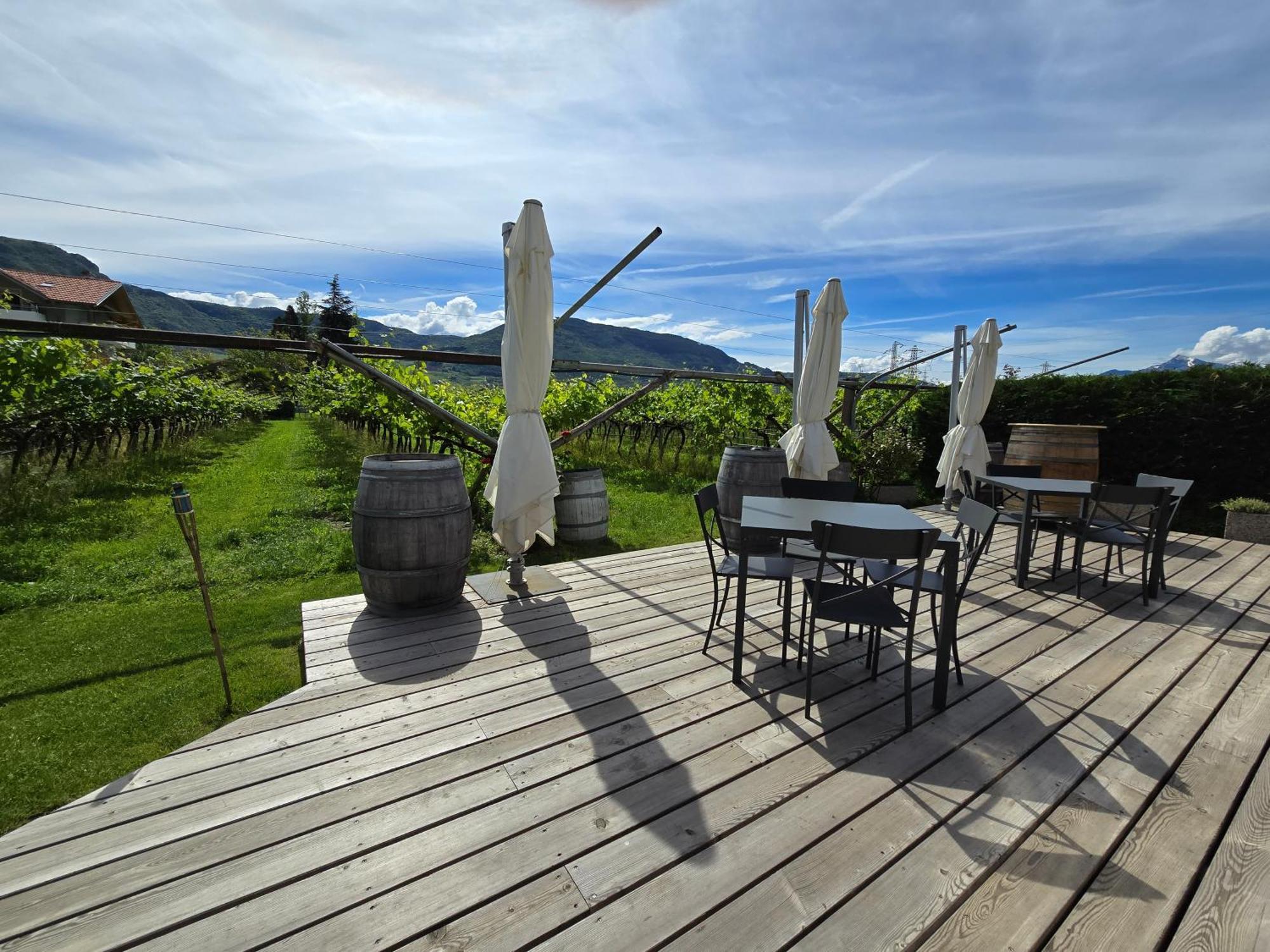 Antico Fienile Agritur Villa Mezzocorona Exteriör bild