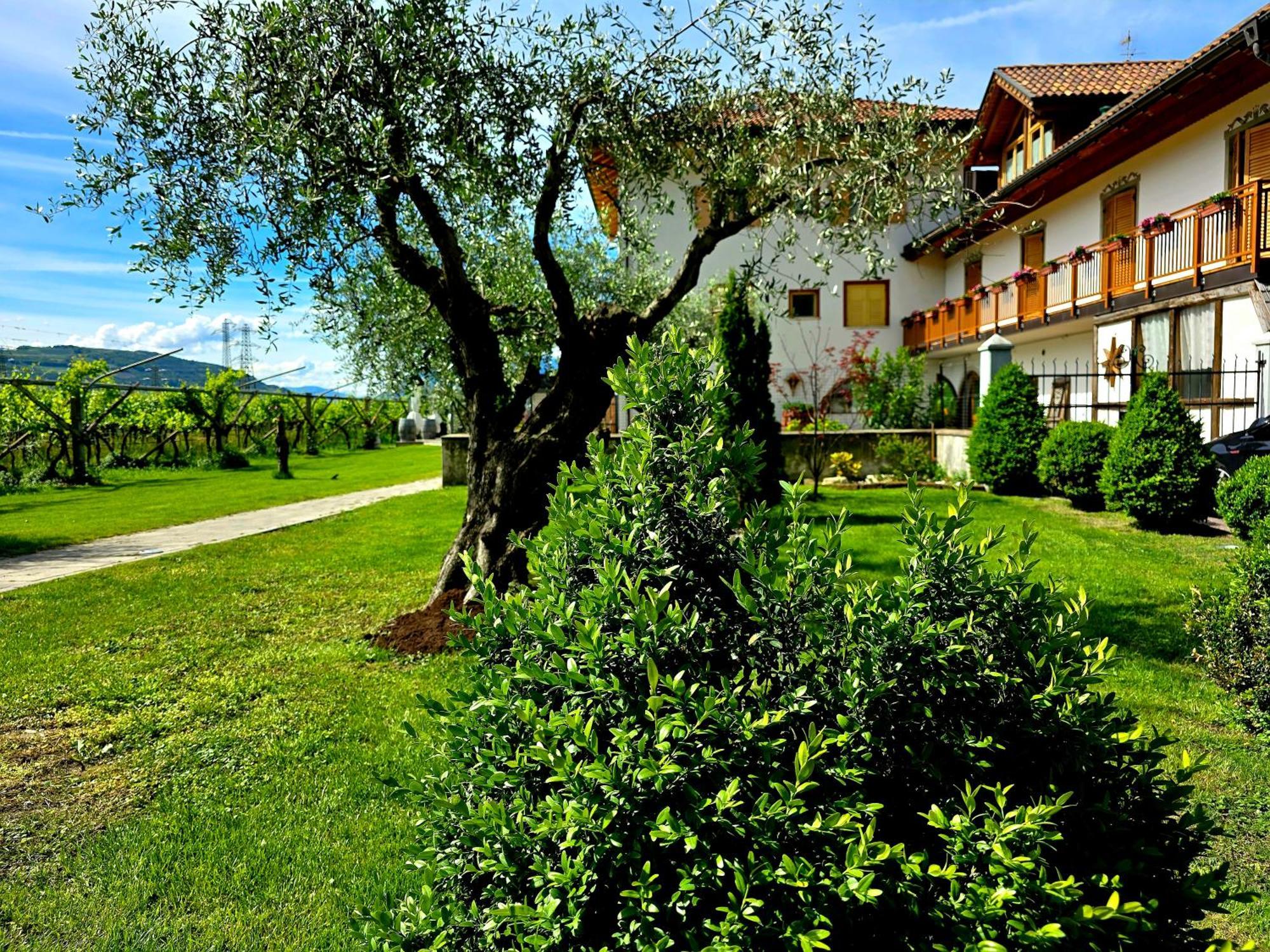 Antico Fienile Agritur Villa Mezzocorona Exteriör bild