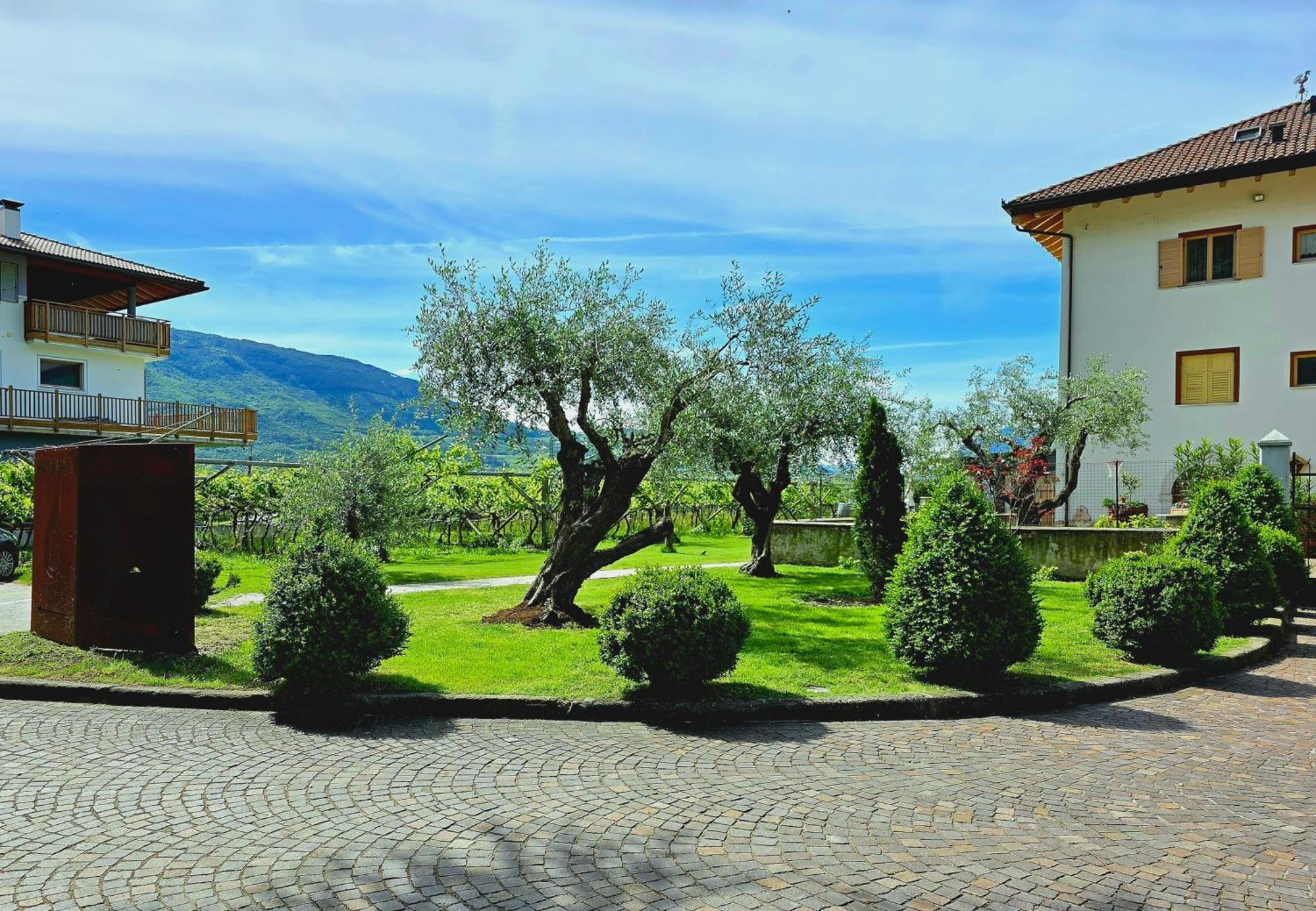 Antico Fienile Agritur Villa Mezzocorona Exteriör bild